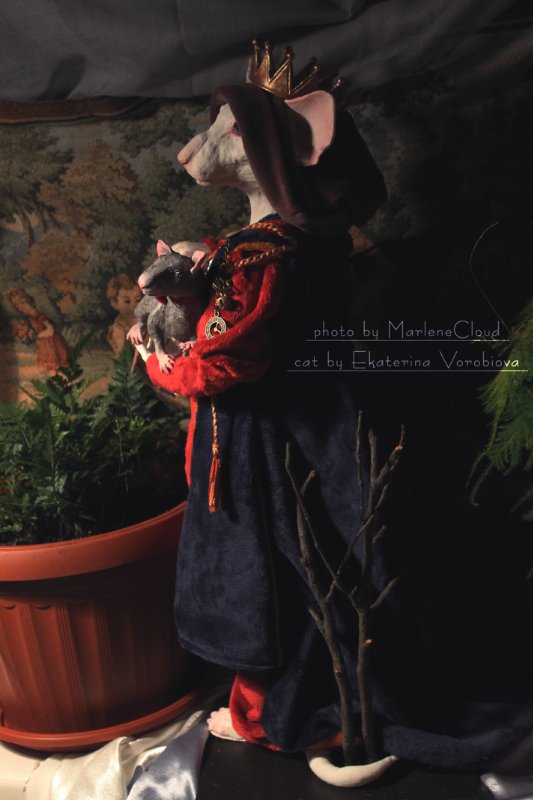 Dolche Evol De Melodica — Авторские работы в частных коллекциях: домашние фото кукол и игрушек