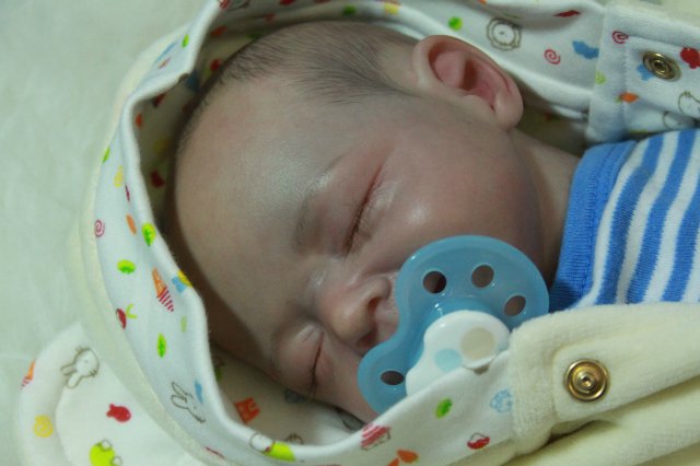 Мои двойняшки-кукла реборн Элины Кудрявцевой