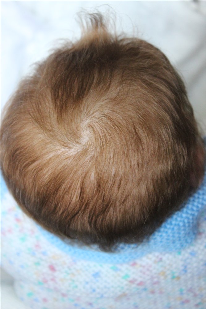 Малыш Лешенька. Куклы реборн Светланы Преображенской