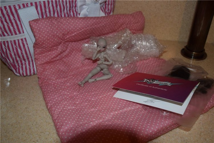 Распаковка сказочной Коллин от LillyCat (фото 2)