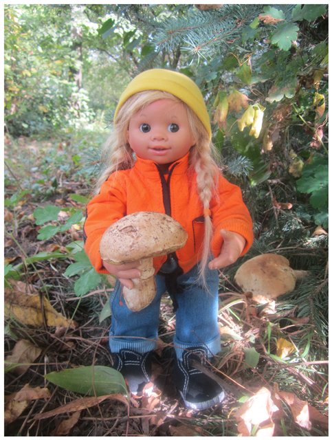 "Неприятный случай" или Ёжик, осень, грибочки. Wichtel, Rosemarie Anna Muller