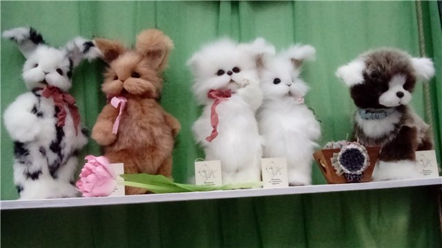 МишкаГрад 2016, море позитива. Фотоотчет