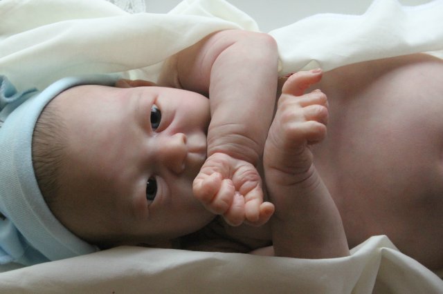 Филипка, кукла реборн Элины Кудрявцевой