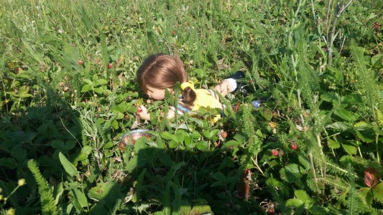 Земляничный день — Домашние коллекции кукол: фото собраний (фото 5)