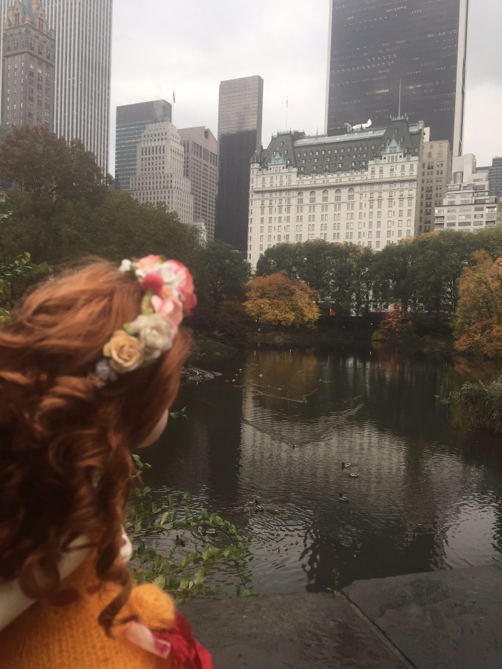 Луна гуляет в Центральном Парке в Манхаттане