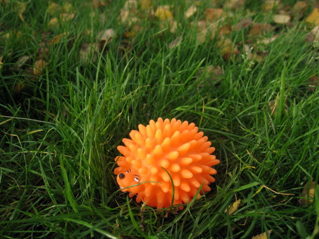 Коллекция резиновых игрушек ПВХ | Бэйбики Коллекция резиновых игрушек ПВХ (фото 6)