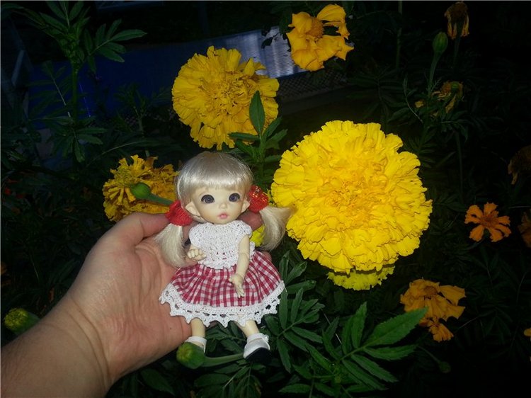 Маленькая дачница Элис. Кукла БЖД Пукифи Анте (фото 8)