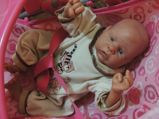 Мои самые маленькие. Коллекция кукол