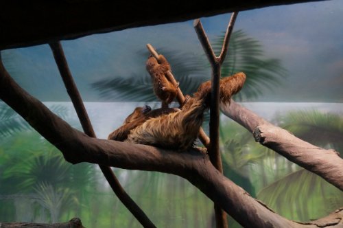 Воронежский океанариум — Туризм и путешествия: фотоотчеты из поездок