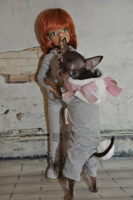 Лайла (Кайе Виггз) с Феней (чишечка). Надеюсь, что любителей собачек на сайте также много, как и поклонников кукол от Кайе