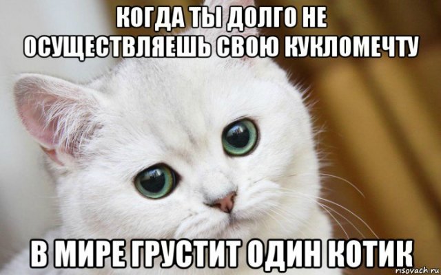 Смешные картинки о коллекционировании кукол