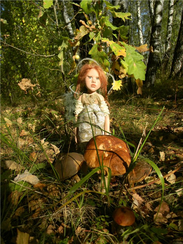 В сентябре пришло к нам лето! Мальва Zwergnase, мой рыжий эльфик