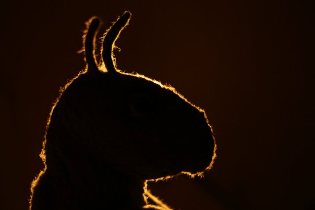 Кузнечик ВиктОр. Авторская игрушка Татьяны Матляк