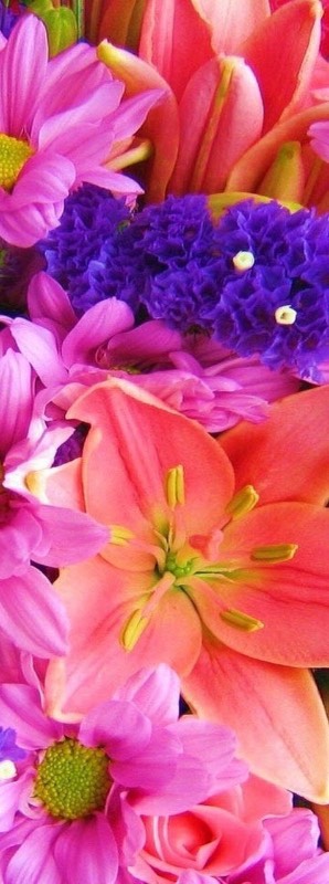 Головокружительные, обворожительные балеринки-лебеди! Адриана от Susan Lippl и две ее сестренки от Lee Middleton! Часть