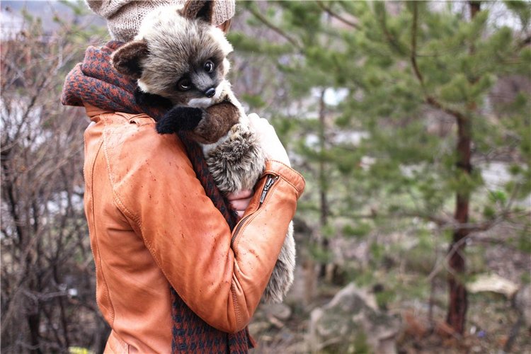 Енотьи прогулки. Авторские игрушки ручной работы Татьяны Матляк (фото 10)