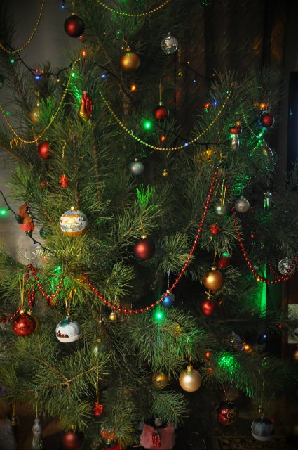 Нежданный подарочек к Новому Году