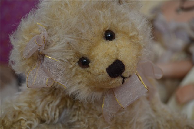 Сестрички Мери-Кейт и Джоэлла и их мишки. Автор Rose Mary Strydom (фото 8)