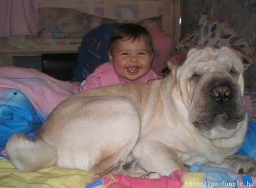 Кому нужна нянька — Болталка и разговоры обо всем: жизнь