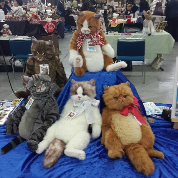 TeddyBar Total 2015! Как это было