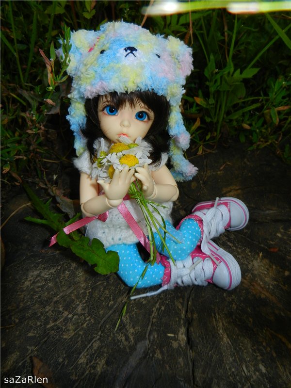 Варвара путешевственница (Литтлфи Анте)