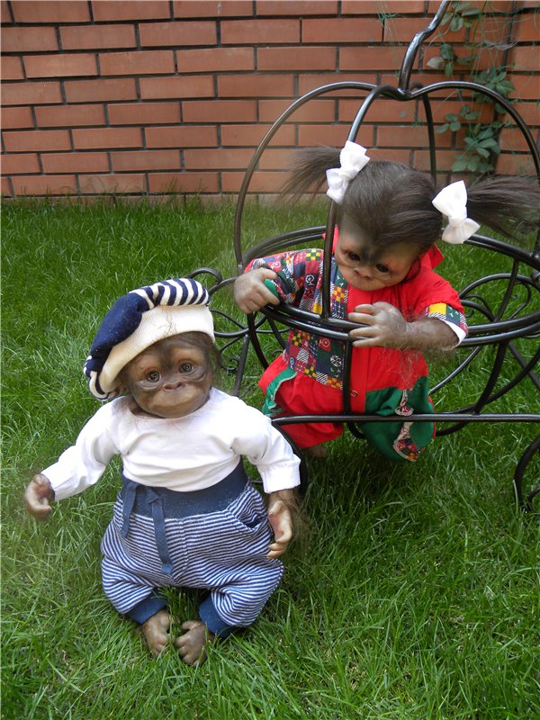 Необычное пополнение в моем доме