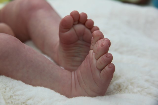 Софийкин! Кукленок реборн Виктории Вишни (фото 8)