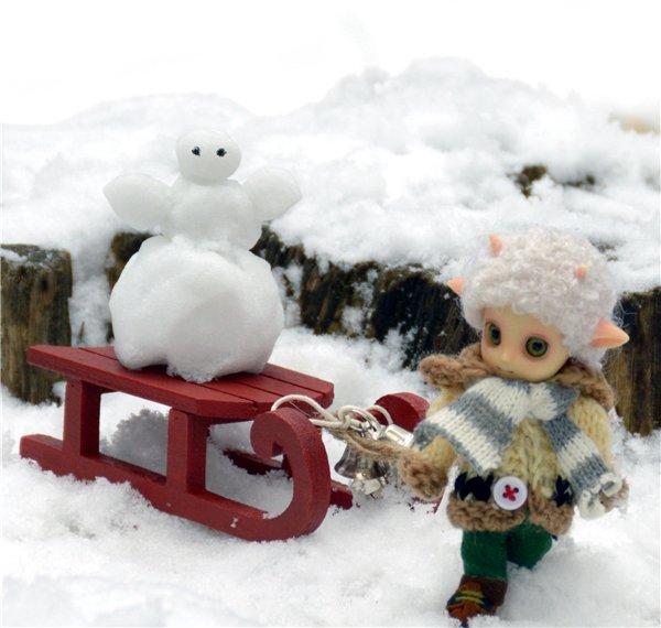 Зимняя прогулка — Куклы и тела Obitsu (Обитсу): 1/6 (фото 8)