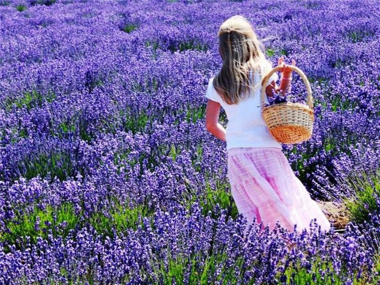 Марселька и тролли рассаду сажали, а бабочка с пчелкой им помогали... По следам конкурса "Моя Весна"