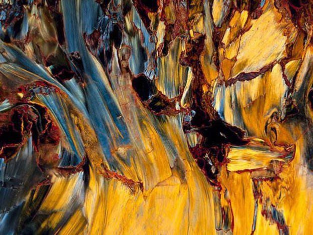 Лучший художник - природа. Узоры внутри камней. Часть первая (фото 8)