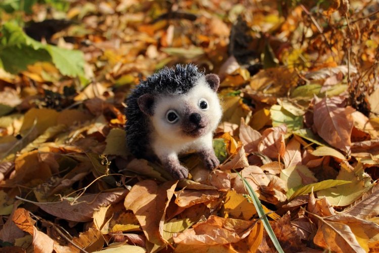 Ежуня. Валяние из шерсти — Валяные игрушки из шерсти: сухое валяние (фото 2)