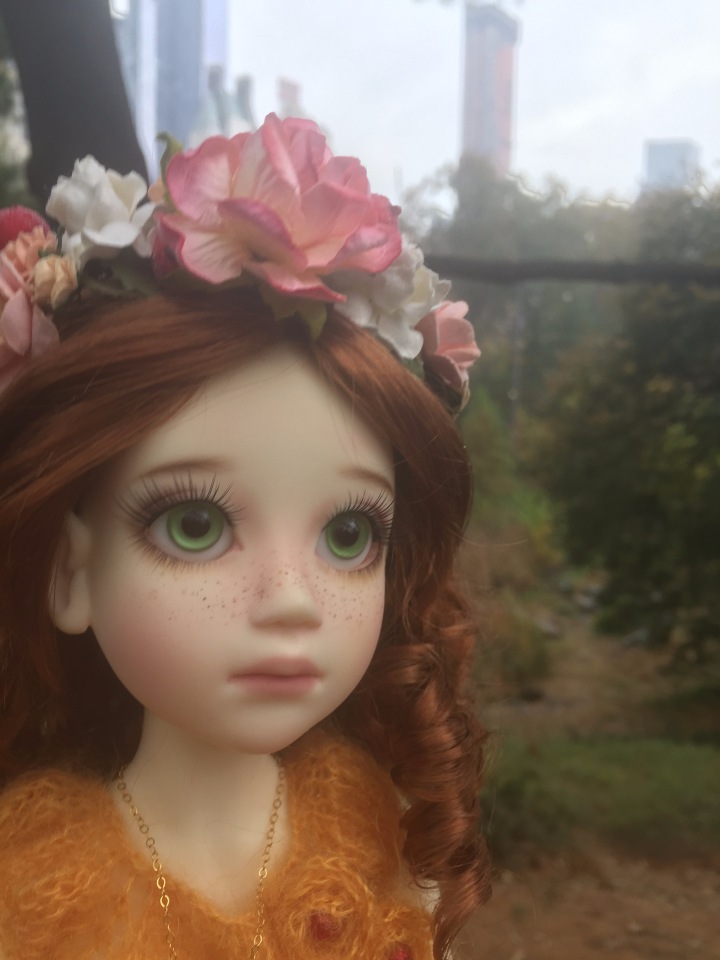 Луна гуляет в Центральном Парке в Манхаттане