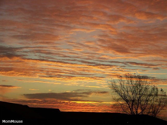 Очаровательные ангелы от Fayzah Spanos (фото 5)
