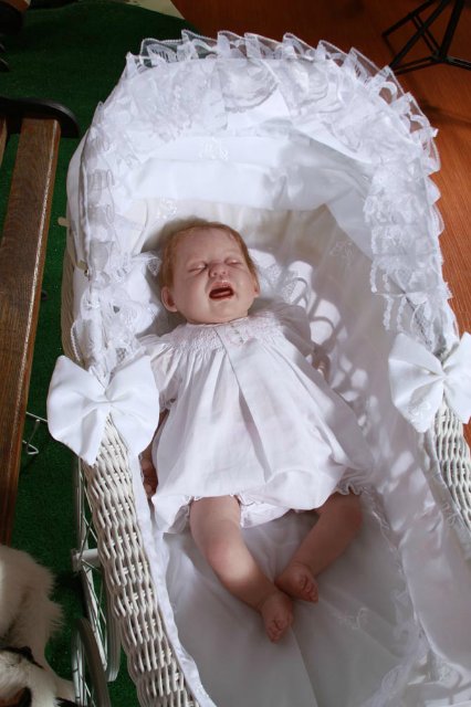 Мои куклы реборн в декорациях