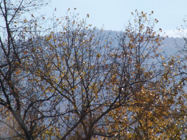 Осень золотая пора. Натали, LUTS (мейк от WOLKOLAK)