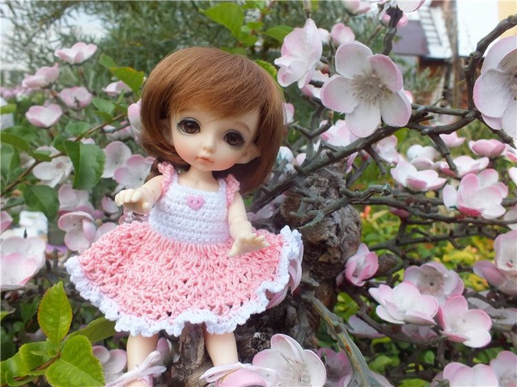 Моя сладкая и очень любимая Зойка.(PukiFee Zoe) (фото 9)