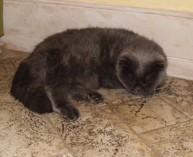 Уголочки мои драгоценные-2. Год спустя. Часть вторая, виниловая, авторская и всякая