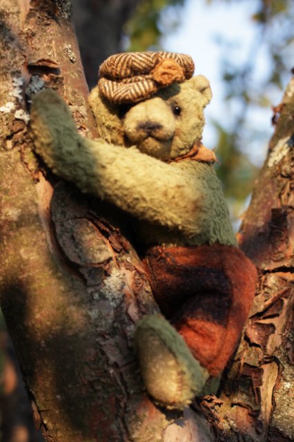 Деревенские медведи. Игрушки ручной работы