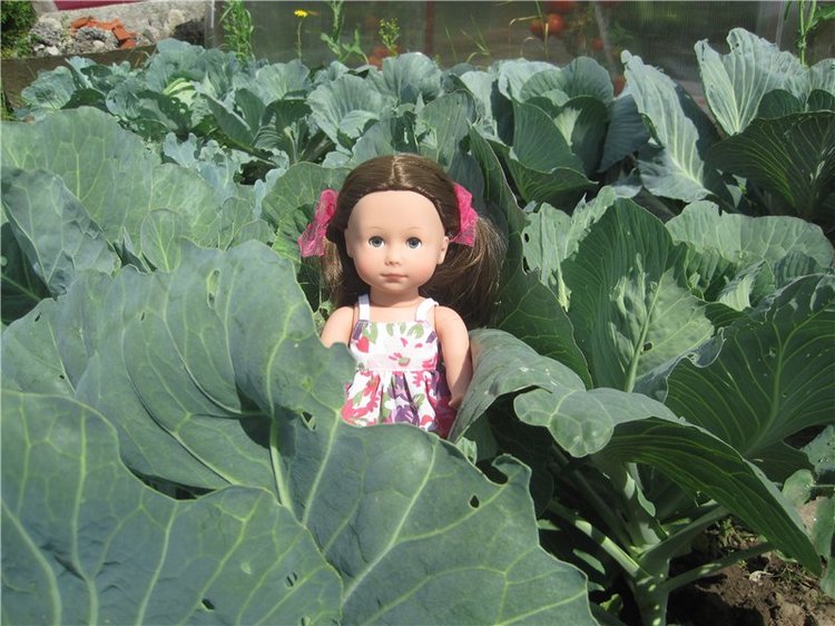 Сестрёнки. Куклы Готц Алиса и Оленька (фото 5)