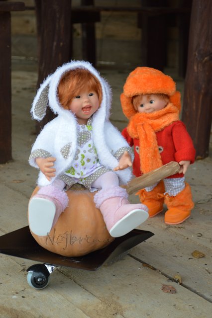 Неугомонные. Вихтели Rosemarie Anna Muller