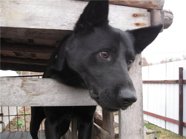 Кирюша. Игровой испанский малышок, фирма Arias