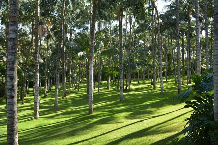 Испания. Тенерфе. Часть 2. Лоро парк