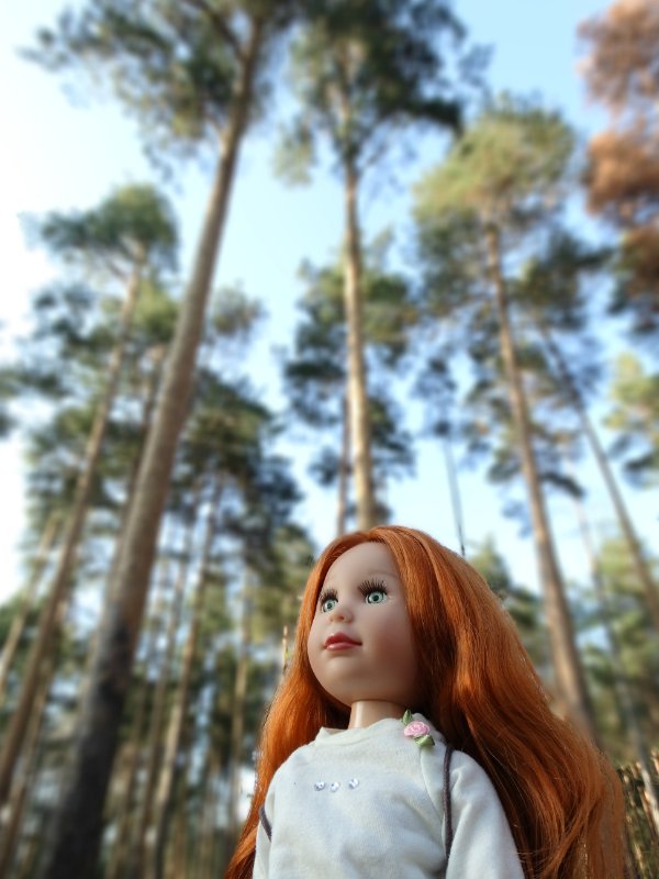 Забытая красавица — Редкие и винтажные куклы Zapf Creation: Colette