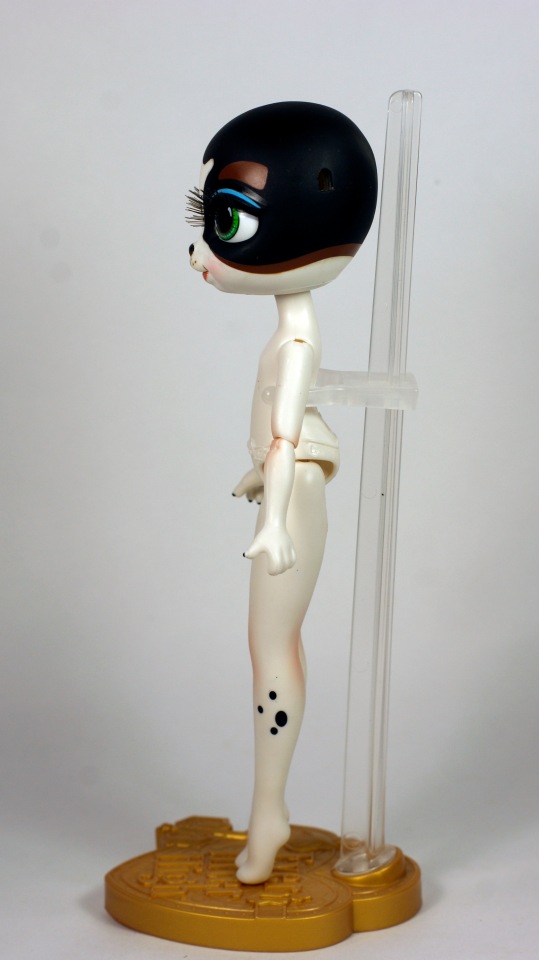 Обзор на собачку Пинки Купер