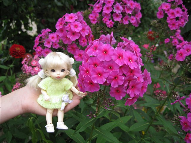 Маленькая дачница! Пукифи Анте Элис | Бэйбики Маленькая дачница! Пукифи Анте Элис