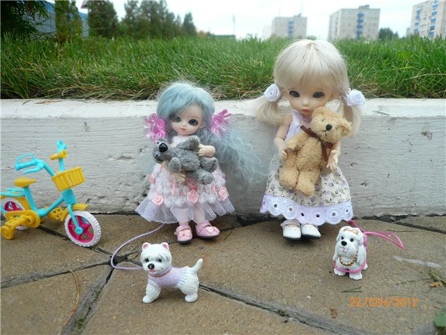 Сосенка Пин. Уютное гнездышко