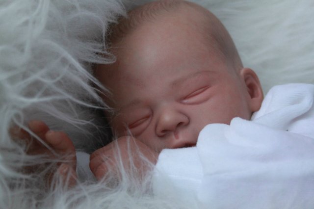 Мои двойняшки-кукла реборн Элины Кудрявцевой