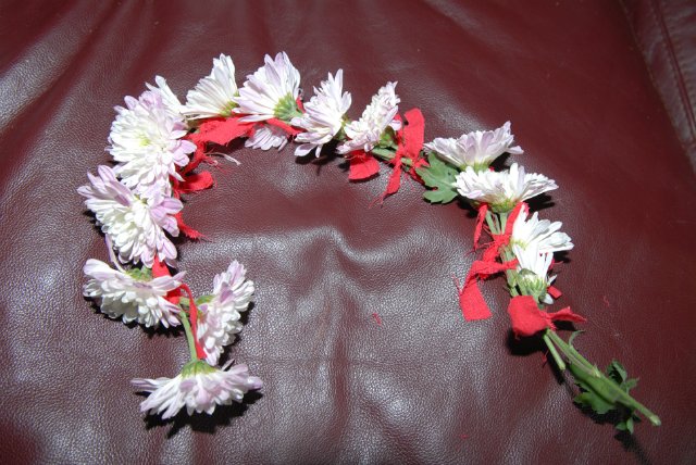 Мне березка нравится - ведь обе мы красавицы! Листья тихо шелестят, меж собою говорят