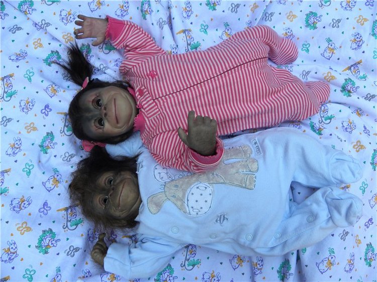 Необычное пополнение в моем доме