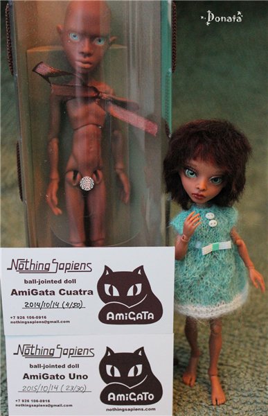 Амигатомания набирает обороты