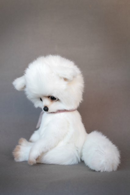 Арктический Лисенок Иэн — Авторские мишки Тедди и друзья: фото